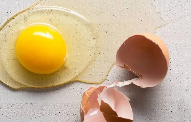 تصویر 1 از فروش مایع زرده تخم مرغ پامین